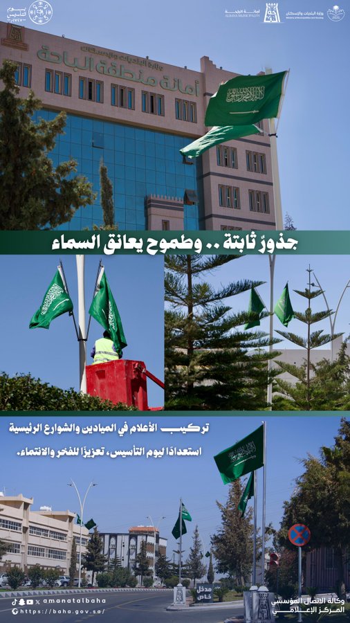 جذورٌ ثابتة… وطموحٌ يعانق السماء 